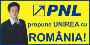 PNL1x21