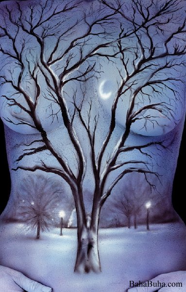 1257236522_winter