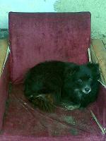 Imag062