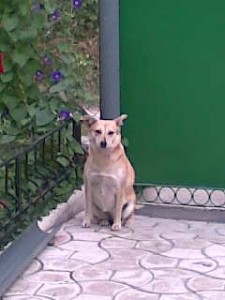 Imag000