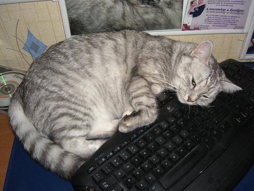 Jessica si tastatura