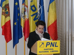 La sedinta DPN a PNL