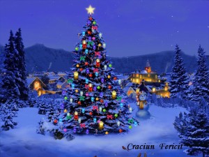 craciun-fericit-2013