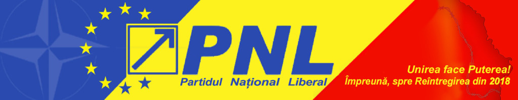 pt sageata si ca baner MY (3)