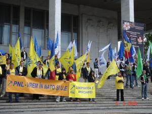 PNL la Ziua Europei, 9 Mai 2008