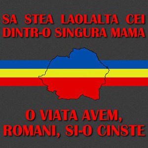 un singe