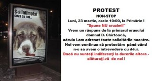 protest Prrimarie
