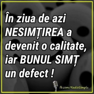 bun-simt