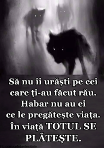 rasplata